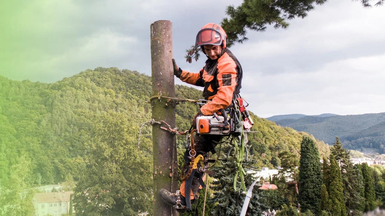 Arborist